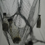 Caught in a Net, 2007